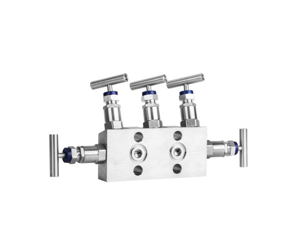 Valve Manifold for Pressure Instrument