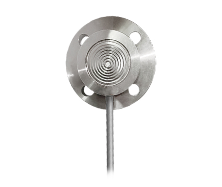 Flanged Connection, Cell (Pancake) Diaphragm