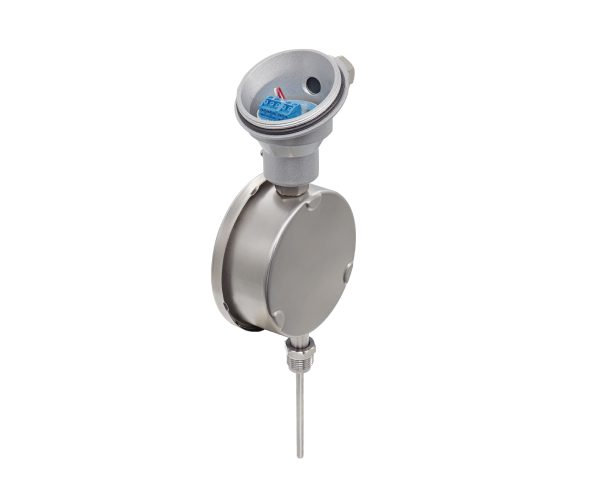 Twin-Temperature Thermometer